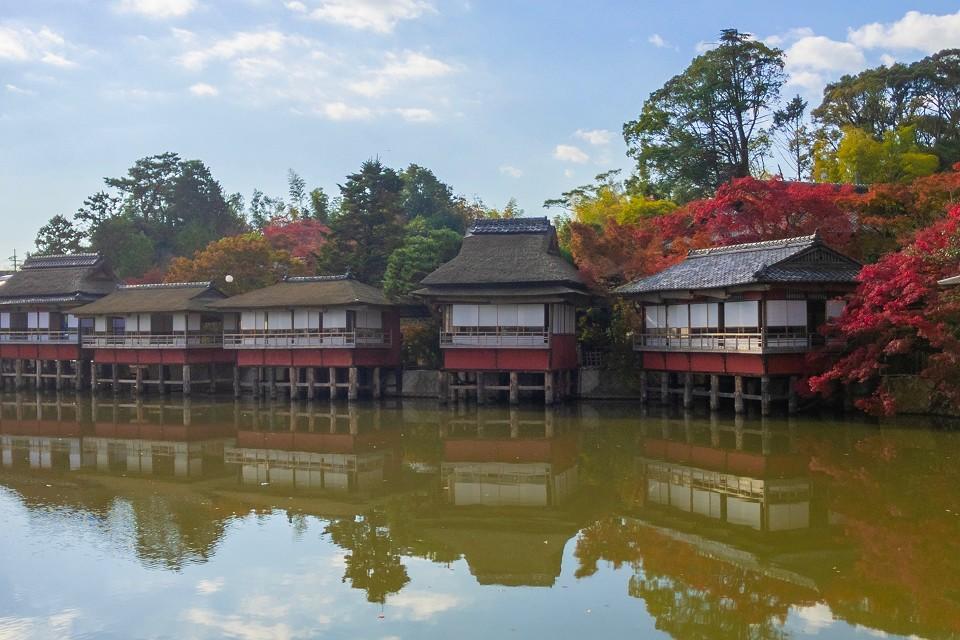美しい錦模様の紅葉と数寄屋造りの池座敷