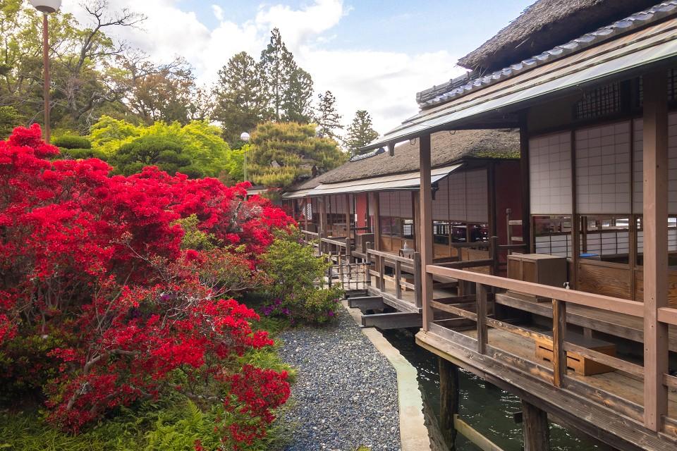 敷地内からの池座敷の風景