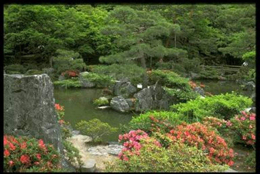庭園