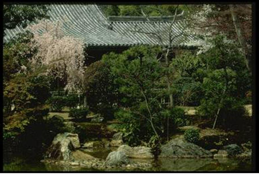 庭園